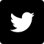 nav icon twitter
